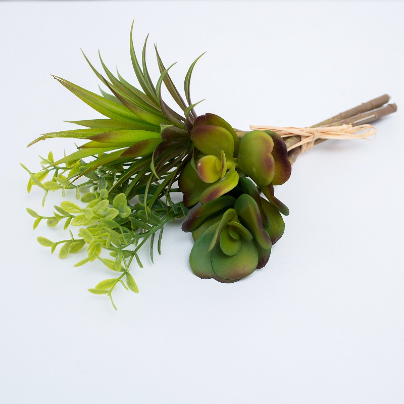 chinhánh đơnnhân tạo mọngnước