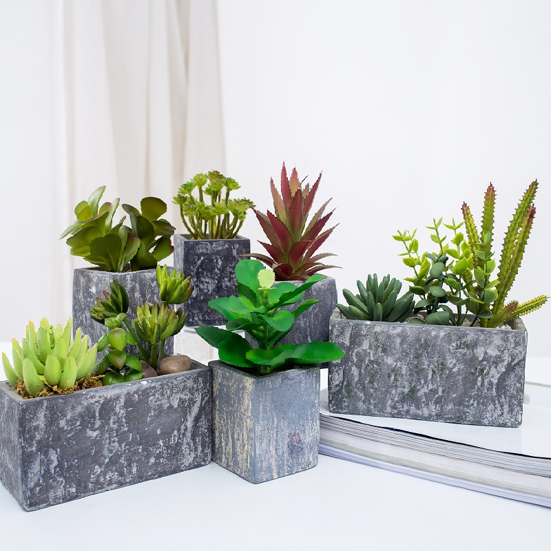 bán buôn chậu cây mọngnướcnhân tạo