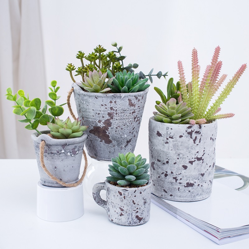 Cây mọngnướcnhân tạo mới được thiết kế trong chậu mọngnước trong chậu xi măng