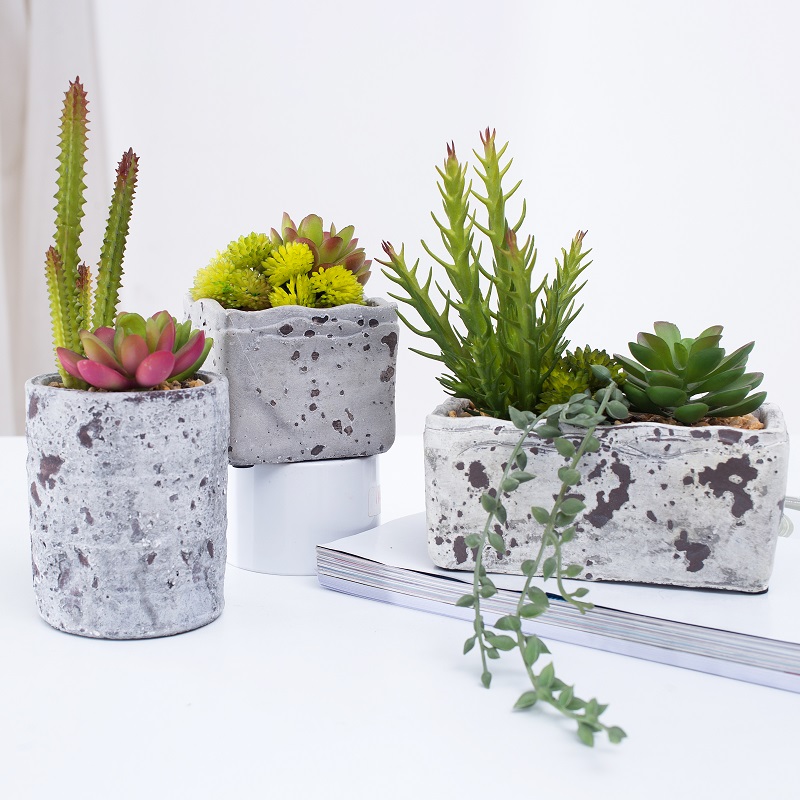 Cây mọngnướcnhân tạo mới được thiết kế trong chậu mọngnước trong chậu xi măng