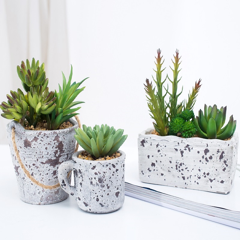 Cây mọngnướcnhân tạo mới được thiết kế trong chậu mọngnước trong chậu xi măng