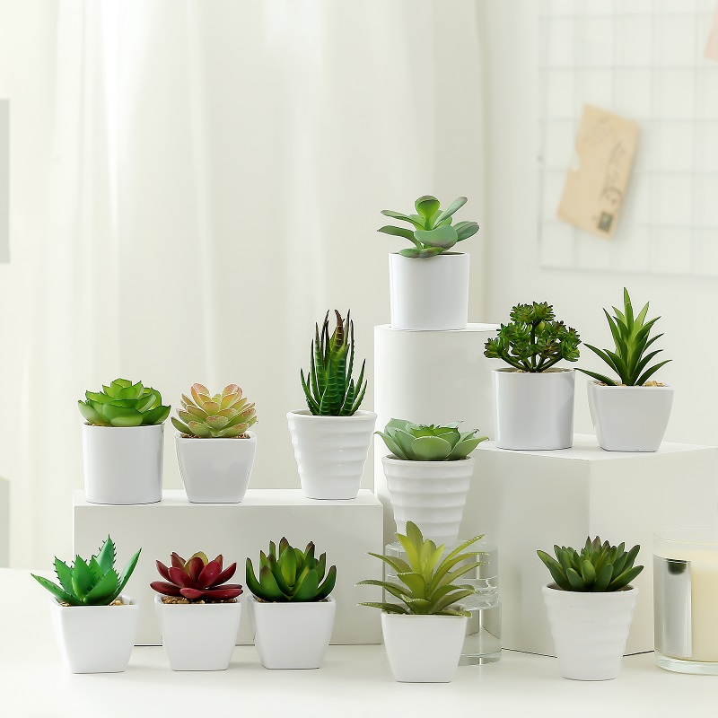 Bánnóngnhân tạo mọngnước trong chậu melamine để bán