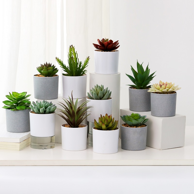 Bánnóngnhân tạo mọngnước trong chậu melamine để bán