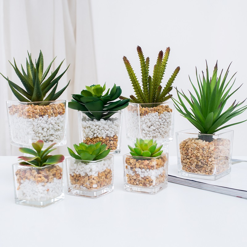 trong chậunhân tạo mọngnước trong đồ thủy tinh