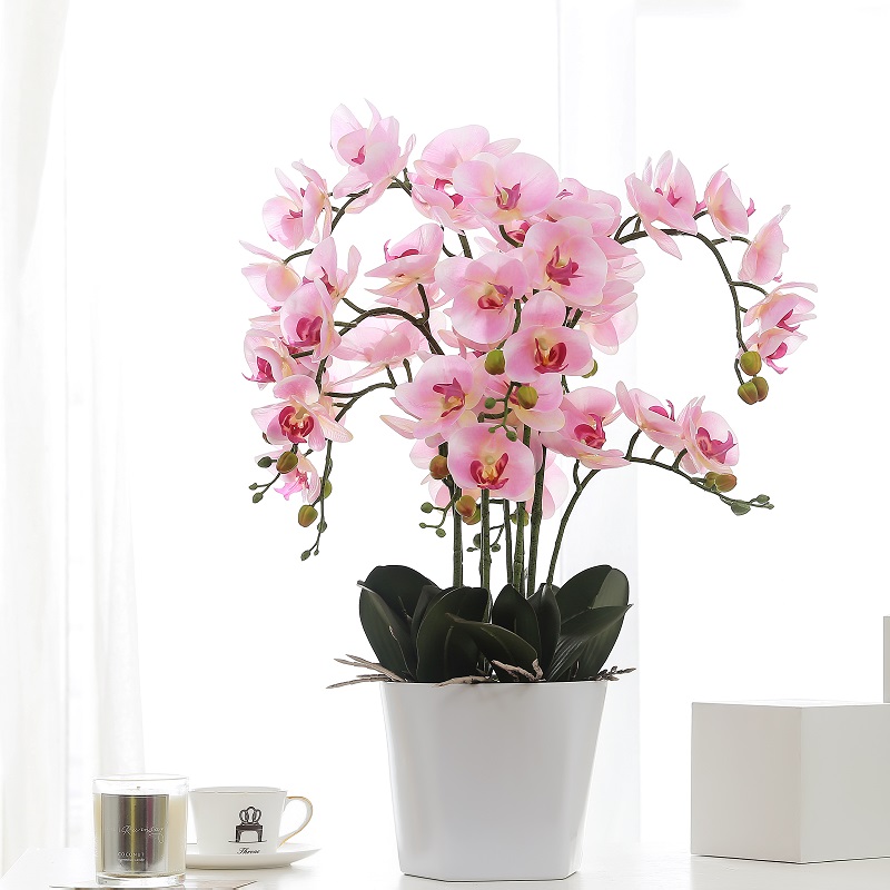 Real Touched Cây lannhân tạo để bán
