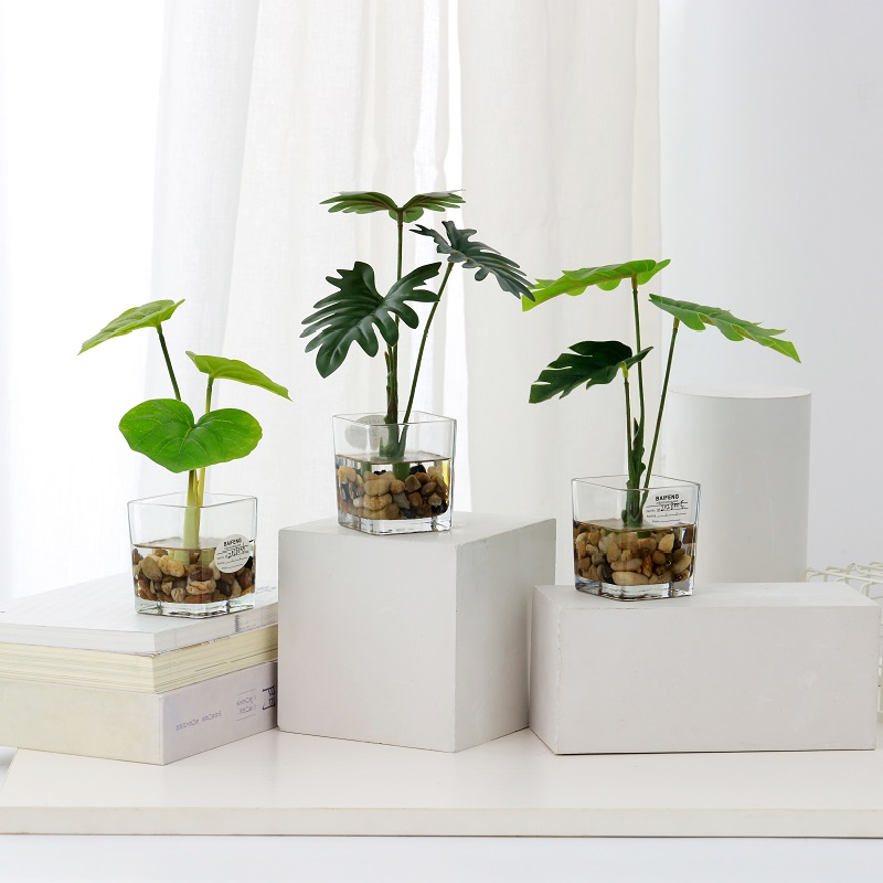 Cây trồng trong chậu trongnước giả với đồ thủy tinh